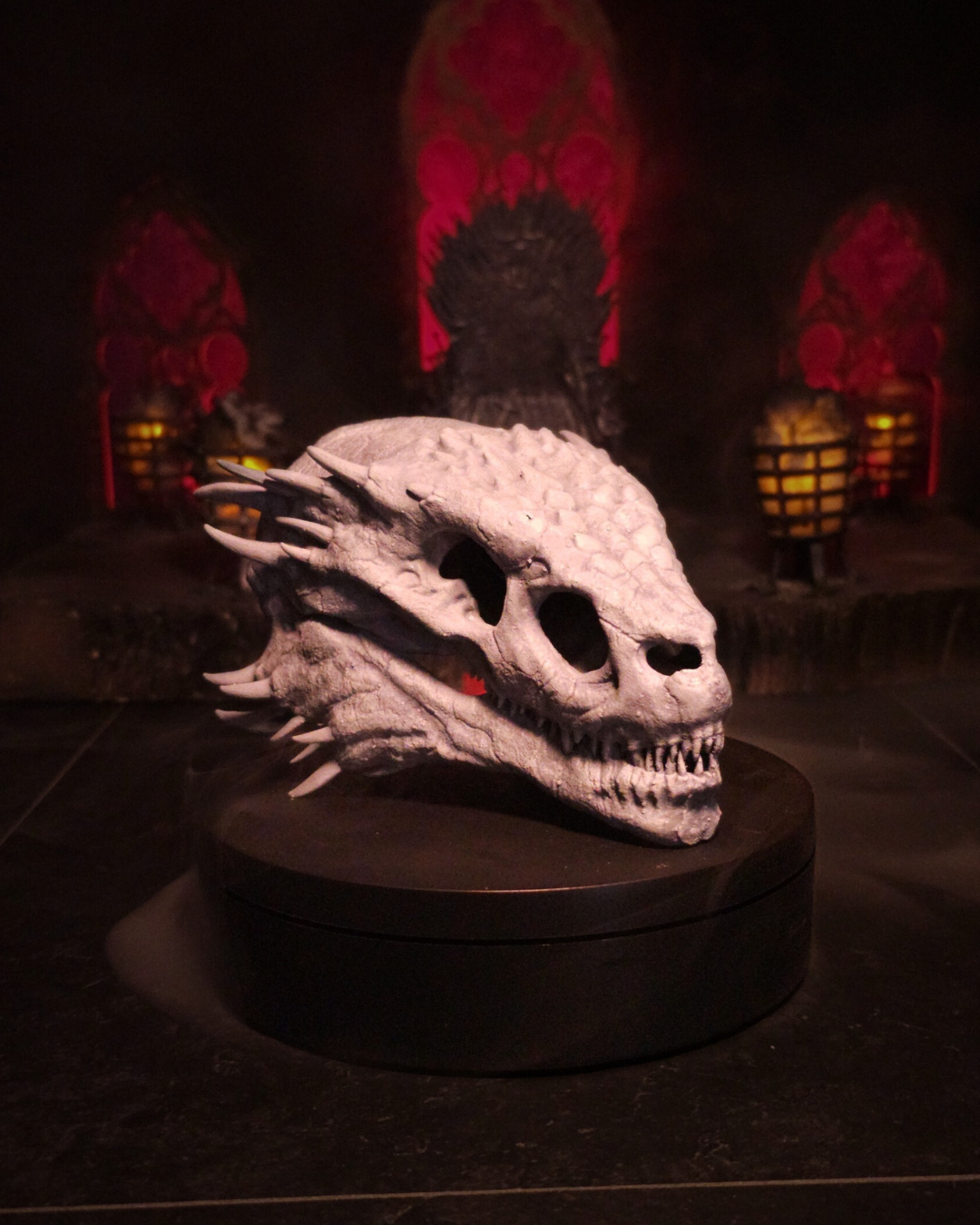 Crâne du jeune dragon Arrax, monture de Lucerys Velaryon