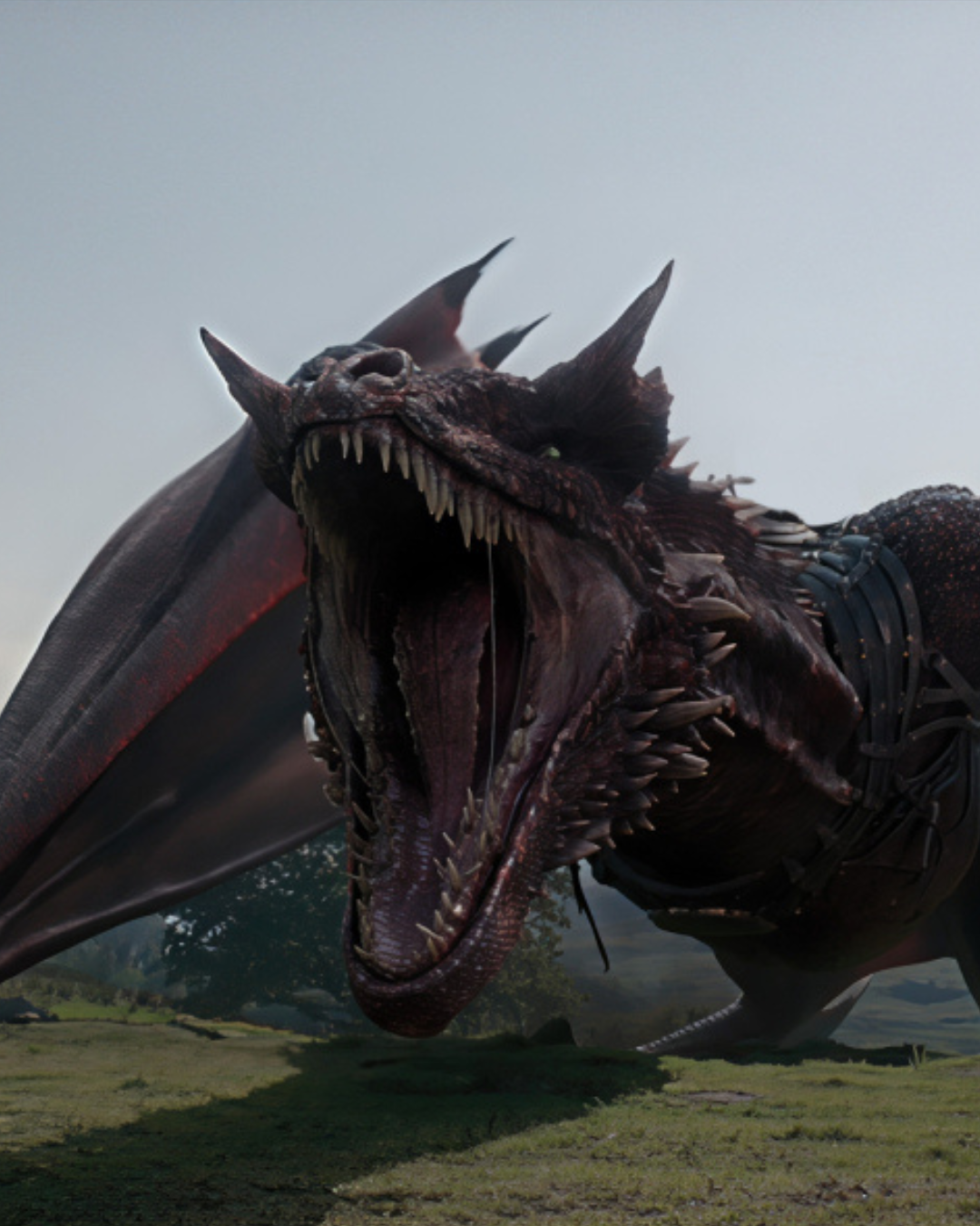https://variety.com/wp-content/uploads/2026/02/house-of-the-dragon-s3.jpg?w=1000&h=667&crop=1