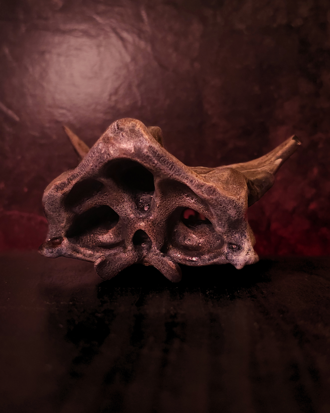 Vue frontale du crâne de dragon Caraxes posé sur une surface sombre, avec des orbites profondes et une texture osseuse réaliste, évoquant une décoration murale gothique et fantasy inspirée des dragons.