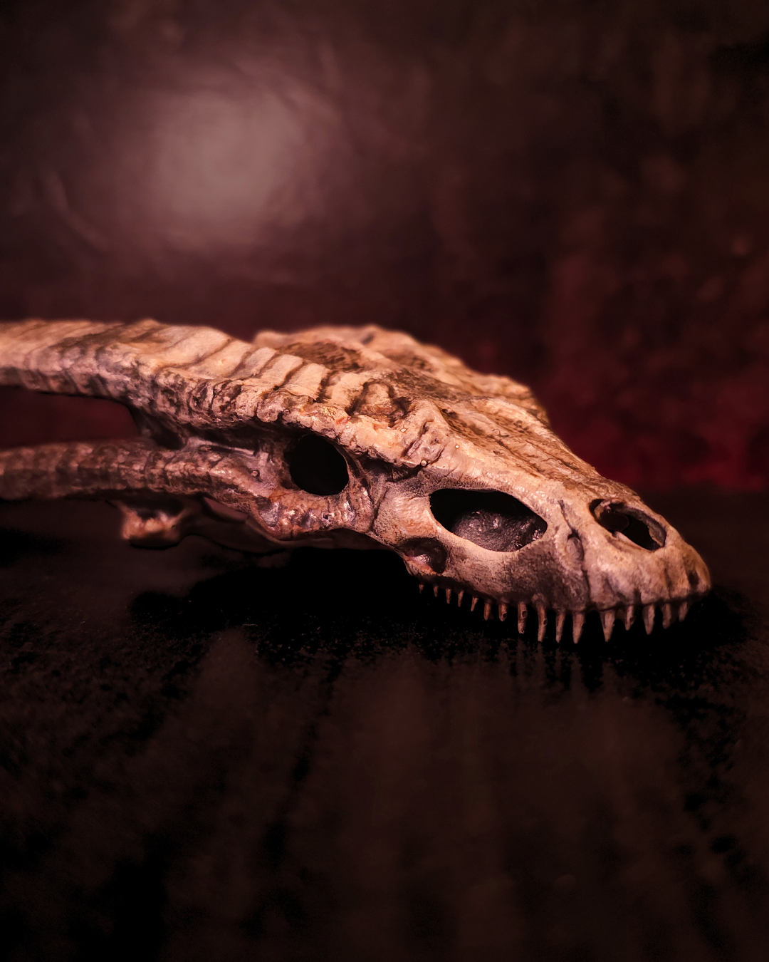 Crâne de dragon doré vu de profil, posé sur une surface sombre, avec mâchoire fine, dents visibles et texture osseuse patinée dans une ambiance fantasy gothique.