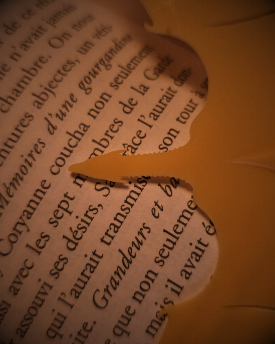 Détail du marque-page dragon en résine jaune, inspiré de Syrax. Un accessoire fantasy incontournable pour lecteurs passionnés, booktok et bookstagram.