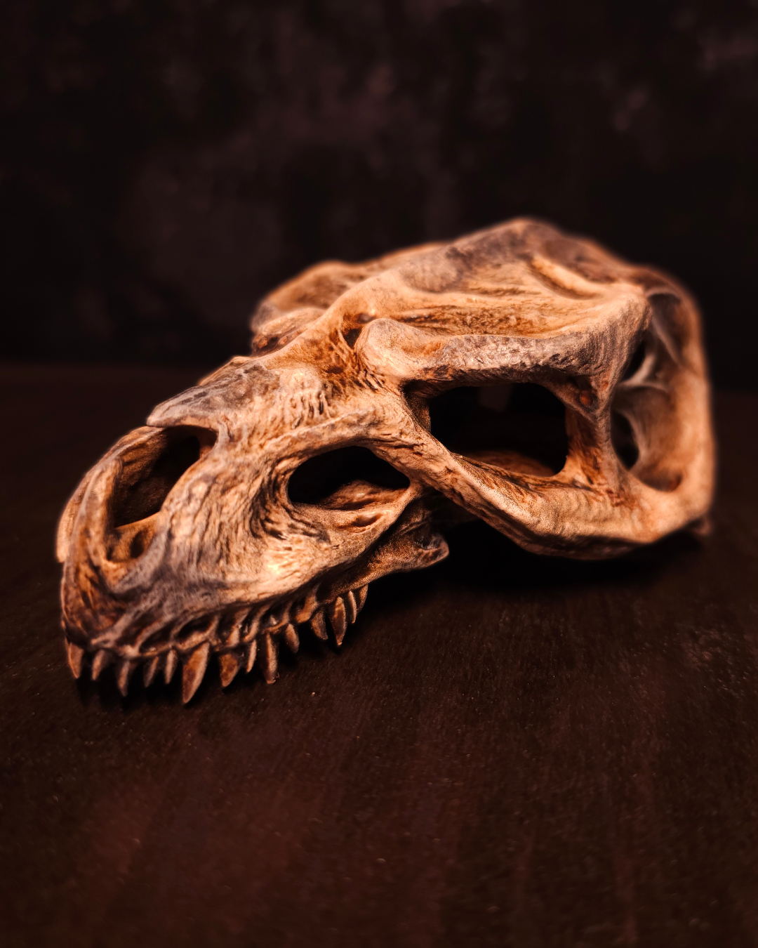 Crâne de monstre Godzilla vu de côté sur surface en bois sombre, montrant la mâchoire dentée et les cavités creusées, parfait pour une décoration fantasy et medieval décor.