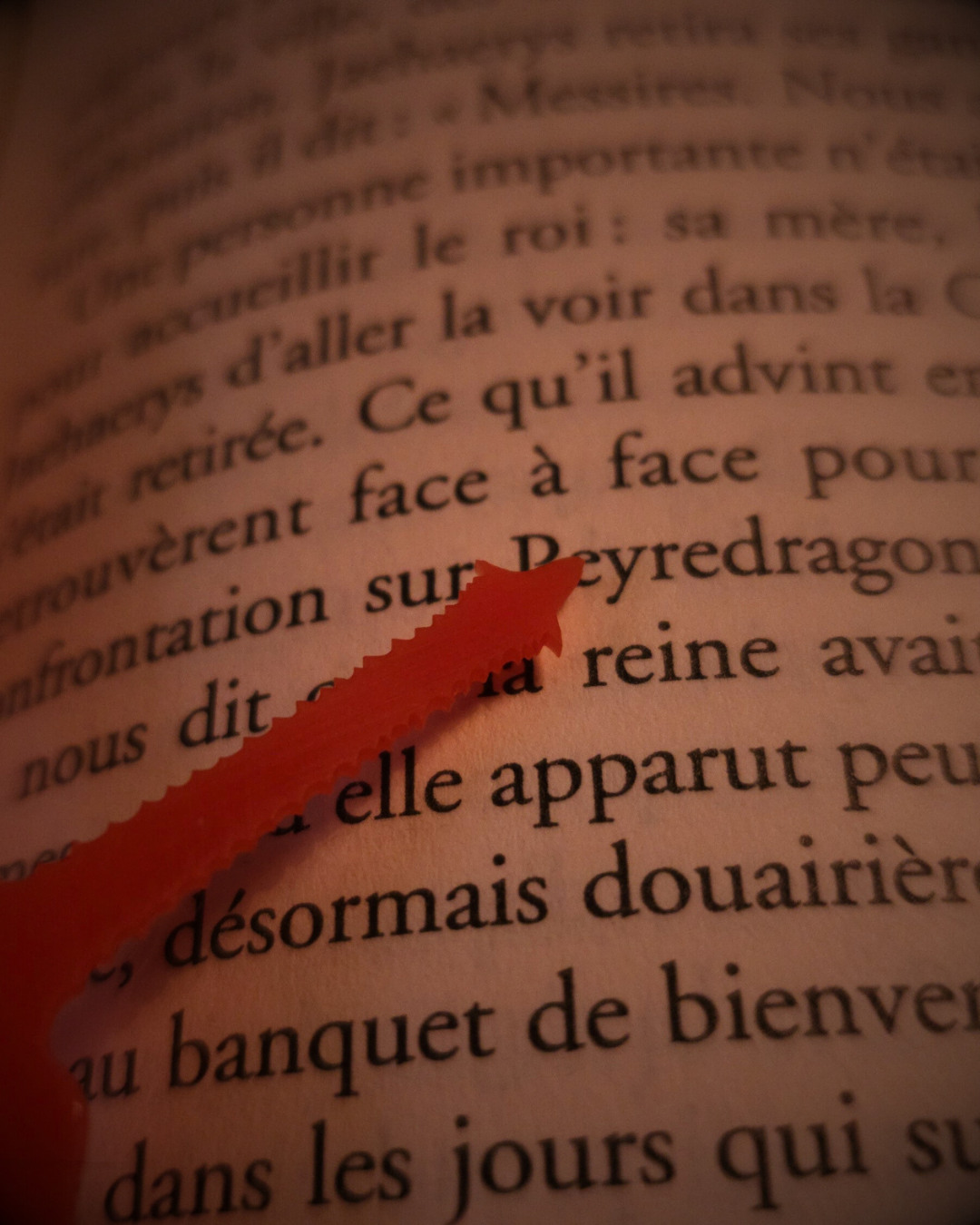 Détail du manche et de la queue du marque-page Caraxes en résine rouge, posé sur les mots d’un livre.