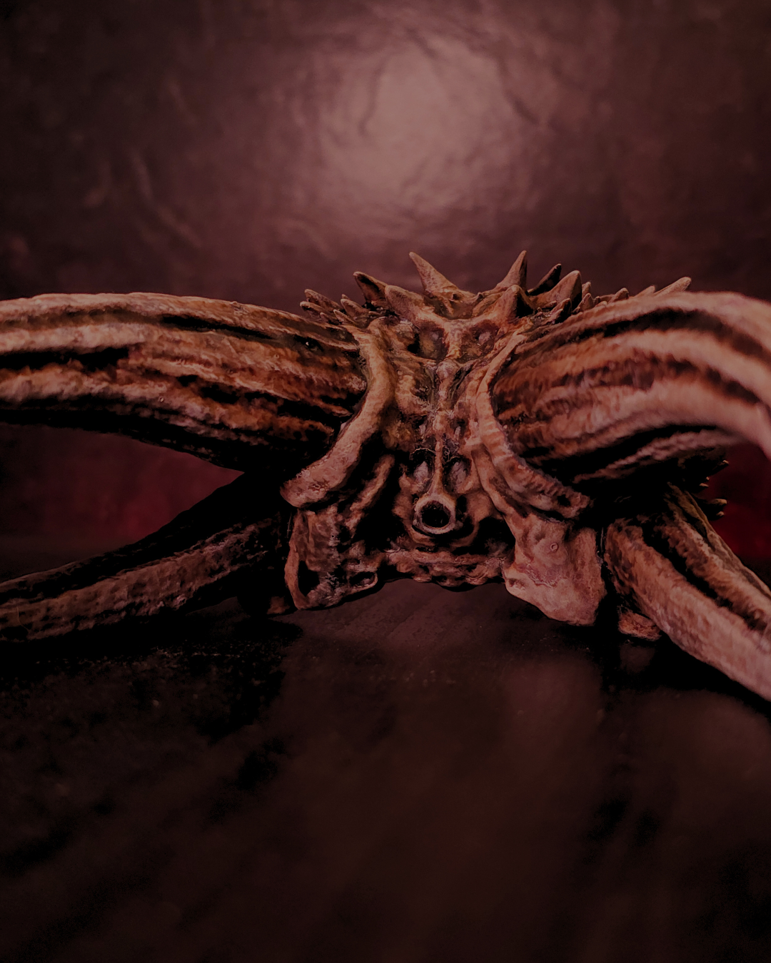 Vue arrière d’un crâne de dragon fantasy undead, mettant en valeur les longues cornes nervurées et les reliefs osseux du dragon.
