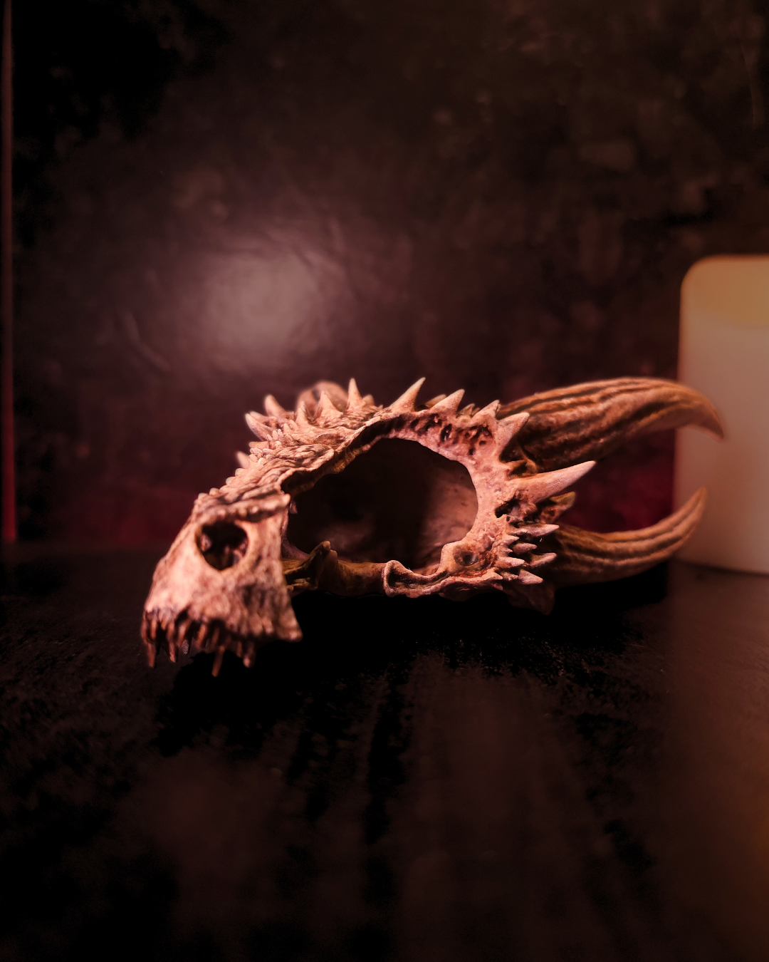 Crâne de dragon undead posé sur une surface sombre, avec cornes allongées, dents apparentes et texture osseuse réaliste, inspiré de la fantasy et des dragons morts-vivants.