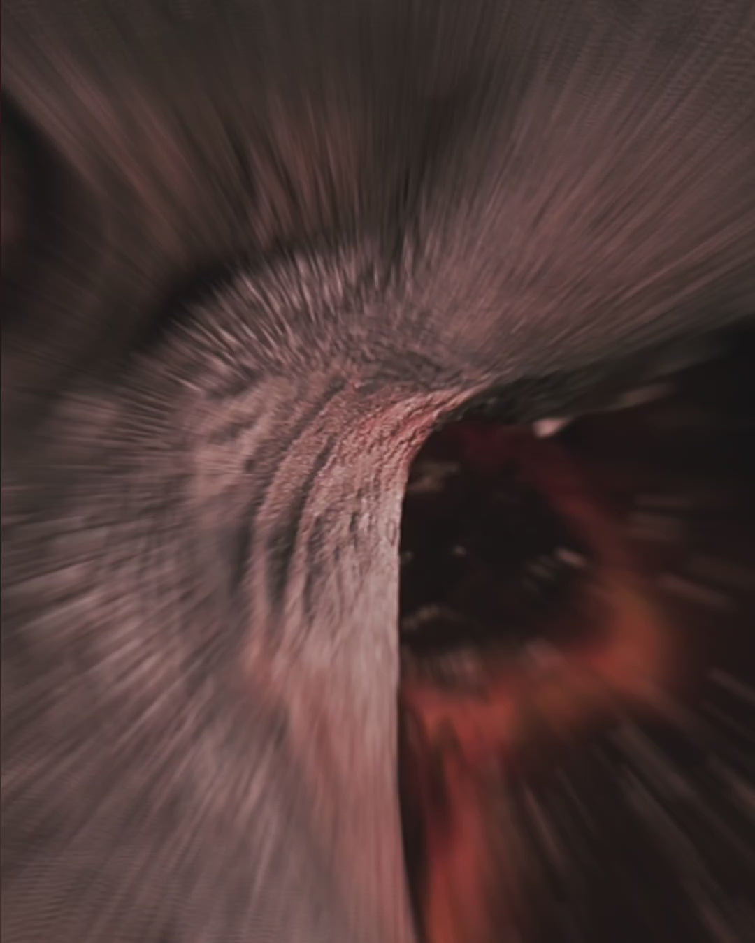 The Cannibal - XXL dragon's figurine