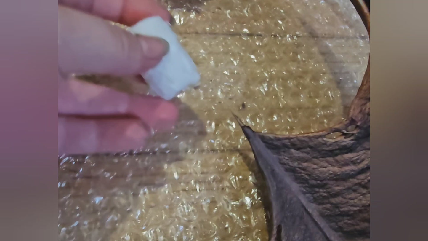 Packaging