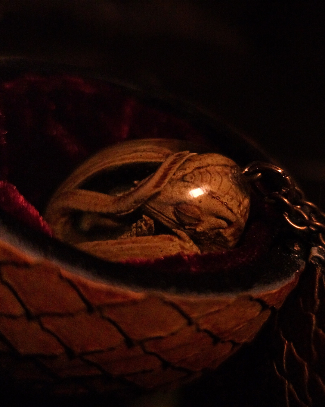 Gros plan sur l’embryon de dragon doré enroulé dans un œuf de résine, bijou fantasy haut de gamme